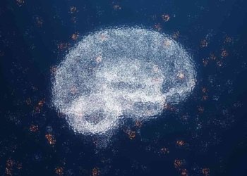Astronomers Find Shell Structures in Milky Way Galaxy