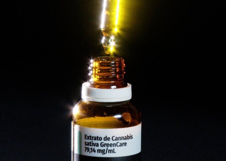 Cannabis medicinal consolida-se no país com salto de 29% nas importações autorizadas