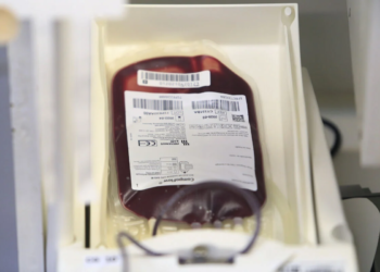 Estoque crítico de sangue em São Paulo ameaça atendimento de emergência nos hospitais
