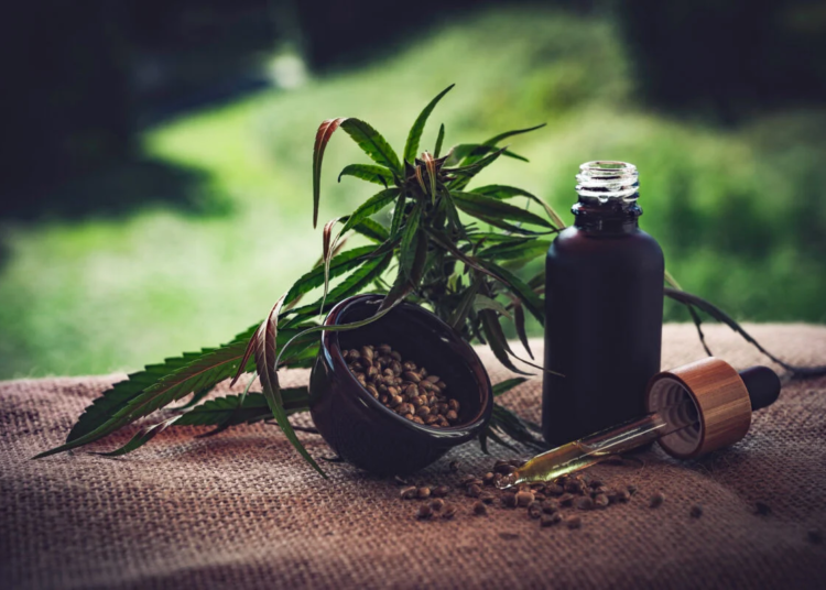 Falta de clareza nas regras da Anvisa deixa associações de cannabis sob risco policial