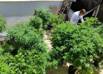 Feira em Fortaleza defende políticas sobre drogas pautadas pela justiça social