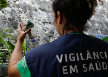 São Paulo registra quase 60 mil casos de dengue e 42 mortes confirmadas neste ano