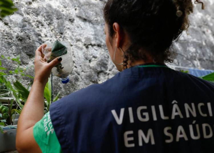 São Paulo registra quase 60 mil casos de dengue e 42 mortes confirmadas neste ano