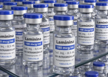 Testes clínicos de polilaminina para lesões medulares avançam com foco em segurança humana