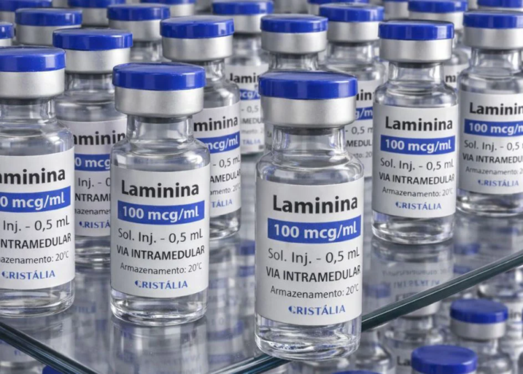 Testes clínicos de polilaminina para lesões medulares avançam com foco em segurança humana
