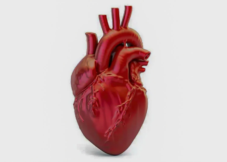 A cada 72 segundos, uma pessoa morre por doença cardiovascular no país