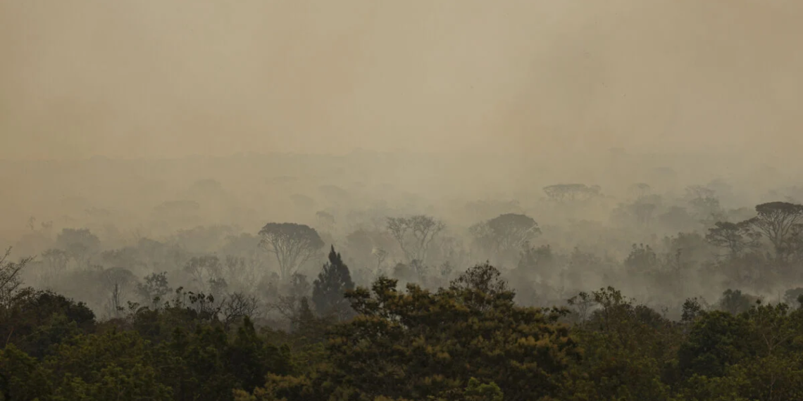 Força Nacional do SUS monta base em Manaus para conter impactos dos incêndios florestais