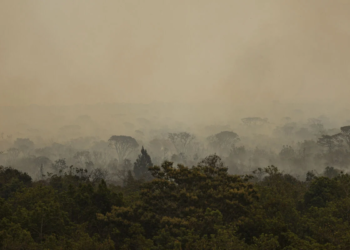 Força Nacional do SUS monta base em Manaus para conter impactos dos incêndios florestais