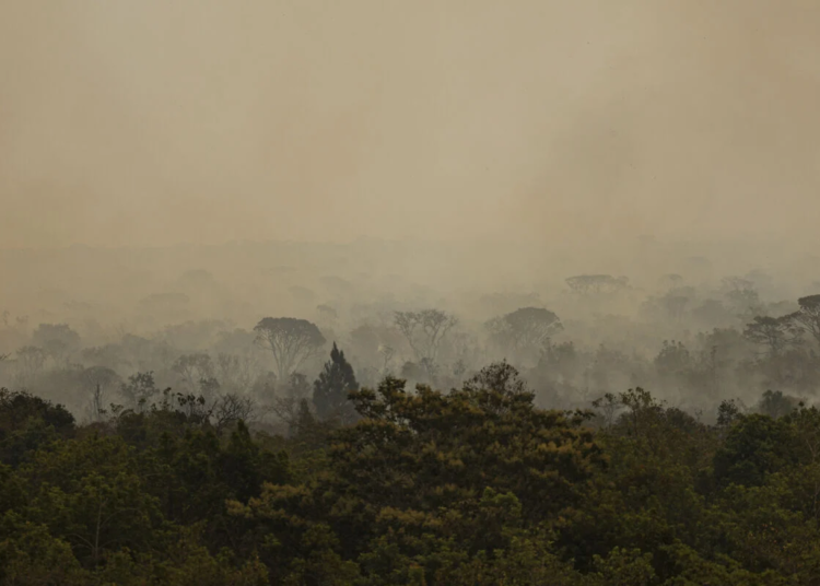Força Nacional do SUS monta base em Manaus para conter impactos dos incêndios florestais